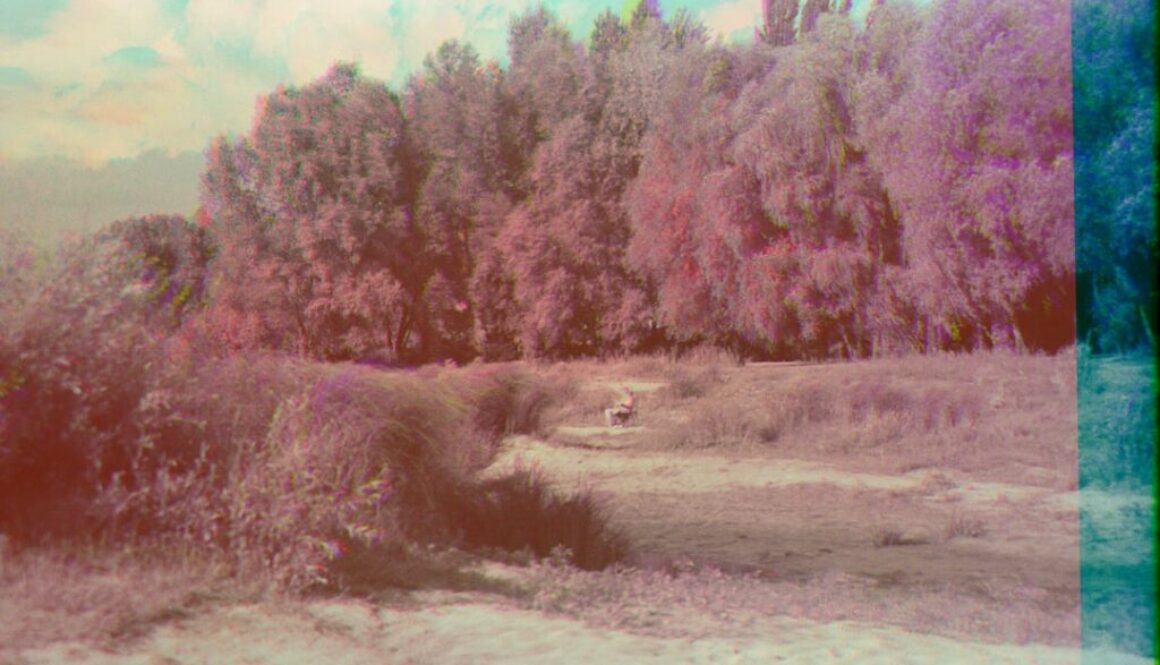 Film dokumentalny na podstawie książki - adaptacje literackie na wielkim ekranie